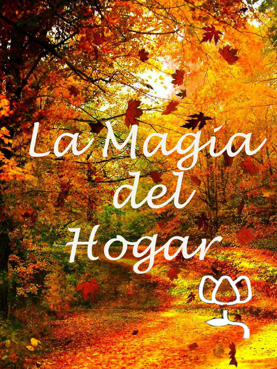 Magia en casa
